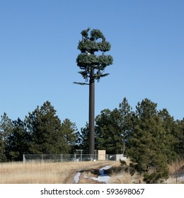 Stealth Cell Tower Camouflaged As A Pine Tree With Service Road Leading To Station In Foreground