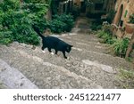 A stealthy black cat prowls the ancient stone steps of an old alleyway, a silent observer in the hidden corners of the city.