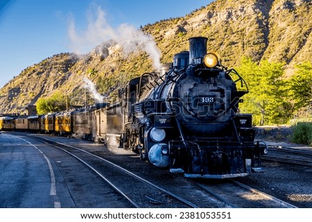 Steam Engine and Train in the countryside