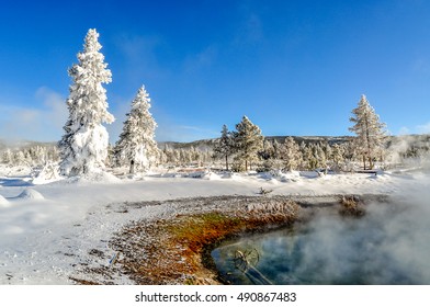Steam for a hot spring creates the white ghost trees of winter in Yellowstone National Park.