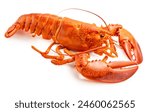 Steam Lobster on white background, Cook Canadian Lobster isolate on white with clipping path.