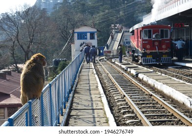 Steam Locomotive Engine Appears Once In A Blue Moon At Shimla ( Himachal Pradesh) India.Kalka-Shimla Railways Built By British Is Considered Heritage Site By UNESCO. 