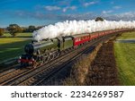 Steam locomotive pump out clouds of white smoke. Steam train with white smoke. Steam train on railway. Vintage steam train ride