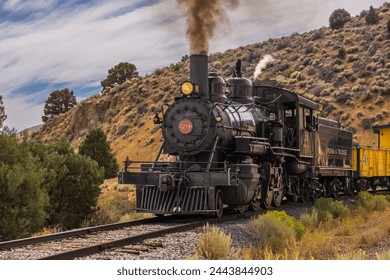Steam Locomotive train coming out of tunnel