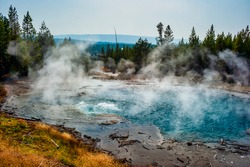 Steam Rising From A Thermal Spring By In Yellowstone National Park Framed By Pine Trees. High Quality Photo