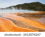 Steam rising from various geysers in the Upper Geyser Basin in Yellowstone National Park, USA