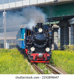 Steam Train Of Childrens Railway Approaches To The Station. Saint Petersburg. Russia.