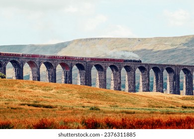 Steam train going over ribblehead viaduct in yorkshire with thick rusty braken in the forground - Powered by Shutterstock