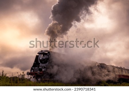 Steam train in motion with  carriages 