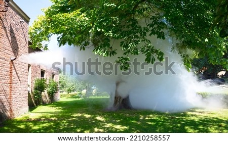 Similar – Image, Stock Photo Fog in a garden Garden