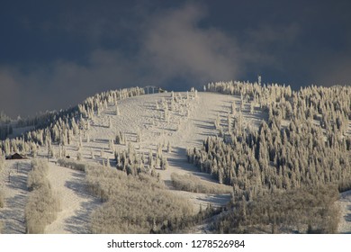 Steamboat Springs Ski Resort, Steamboat Springs, CO/USA, Dec. 22, 2018