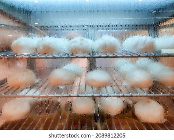 Steamed Buns In The Glass Cabinet There Is Steam Generated By Heat., Asian Food, 