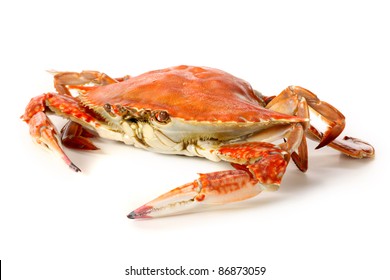 Steamed Crab On White Background