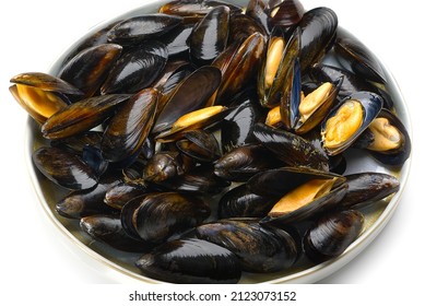 Steamed Mussels Entree. Cooked Mussels On White Plate On White Background Deliciousness Seafood