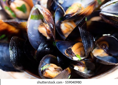 Steamed mussels in white wine sauce