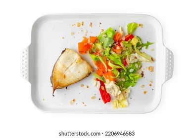 Steamed Pike Perch. Fish Dish With Vegetables. Balanced, Nutritious, Tasty And Nutritious Food. Ready-made Menu For A Restaurant Or For Delivery. Dish In A White Plate Isolated On A White Background.