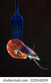 Steamed  Shrimp Steam On Fork Isolated Black Background Copy Space. Isolated Black Background Backlight  Backlit Food Concept Ready To Eat