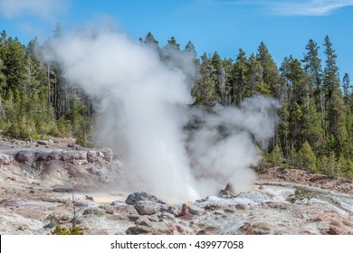 Steaming Geyser In Yellowstone National Park