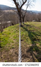 Steel Cable Tied To The Tree