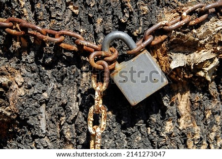 steel chain with a padlock surrounding a tree trunk, concept of oppression of nature