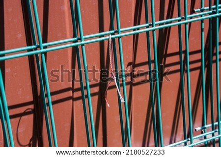 Similar – Image, Stock Photo yard gate Door Gate