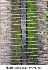 Steel Grille Off Drainage Stock Photo Shutterstock