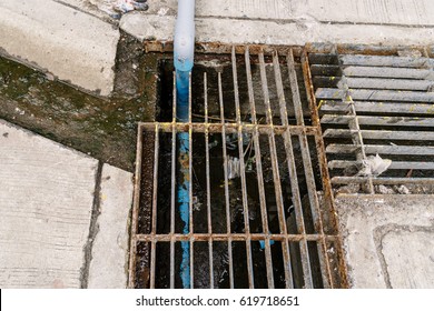 Steel grille of Waste drain hose waste water.