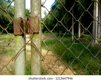 Lock On The Fence Stock Photos Images Photography Shutterstock