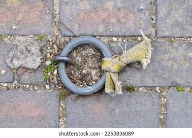 Steel Mooring Ring with Knotted Rope on Brick Canal Side Towpath  - Shutterstock ID 2253836089