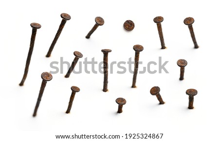 Steel nails collection on white background.