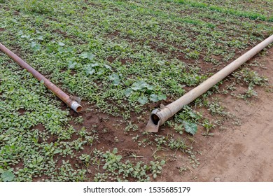 Steel Pipes And Water Delivery Systems In Organic Farms.