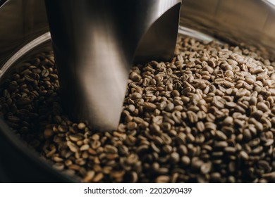 Steel Scoop In Full Of Green Coffee Beans Bucket, Brazilian Imported Product In Roasting Facility