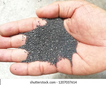 Steel Shot Abrasive