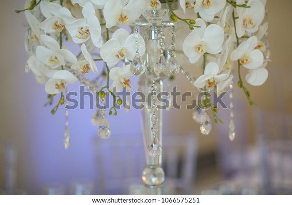 Steel Vases Orchids Stand On Dinner Stock Photo Edit Now 1066575251