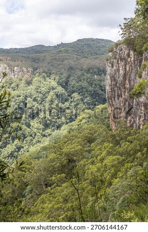 The steep bare rock cliffs and dense green tree vegetation in this landscape on the slopes of Springbrook under an overcast sky in Lamington National Park on the Gold Coast in Queensland, Australia.