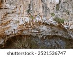 A steep cliff with rugged overhangs and sparse vegetation clinging to the rocky surface, with clear signs of erosion.