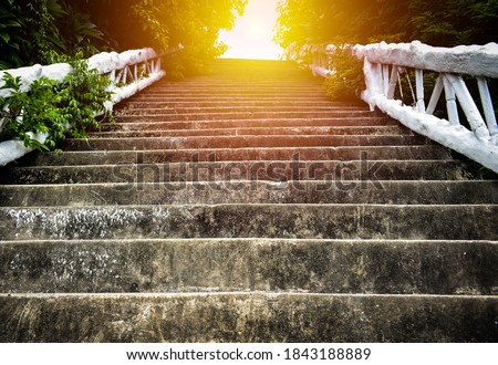 Steep concrete stairs with beautiful sunlight at above. Old grunge staircase with white handrail among green trees at Lad Koh view point. Up stair in the morning. Concept about effort for success.