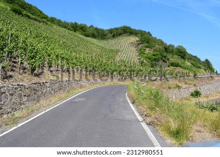 Steep Curvy Road up the Vineyard Hills