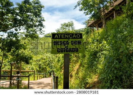 Steep Descent: Navigating the Forest Stairs to Reeve Waterfall in Alfredo Chaves