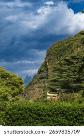 Steep forested hills with dramatic cloudy sky and distant rocky peaks peeking through the valley.