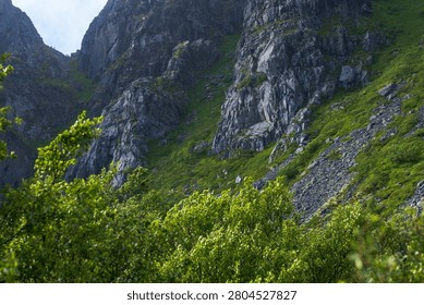 Steep limestone cliffs frame a verdant alpine valley in Lofoten, Norway. Lush green slopes and rocky outcrops create dramatic mountain