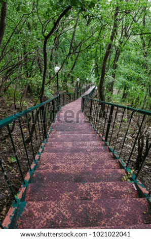 Similar – Image, Stock Photo Steep wooden staircase