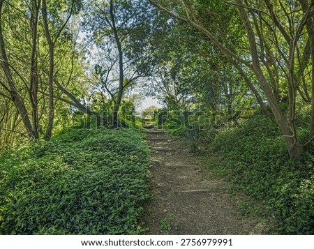 Steep Path Up The Green Hill