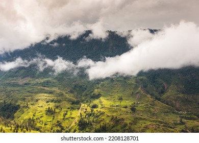 Steep Paths, Humidity And Rainforest Between Villages, While Trekking In The Baliem Valley, West Papua, Indonesia