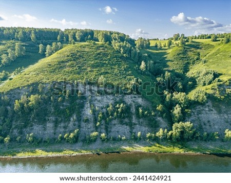 The steep rocky bank of the river is overgrown with forest, the roots of trees and bushes are slowly destroying the bedrock, view above the ground