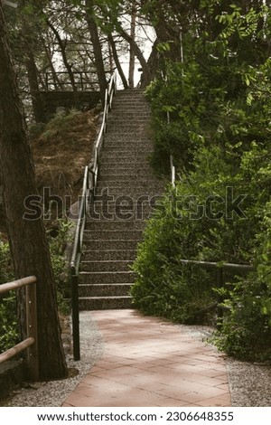 steep stairs in the park