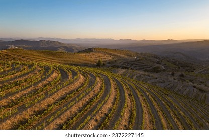 Steep vineyards in the Priorat Region, Catalonia, Spain