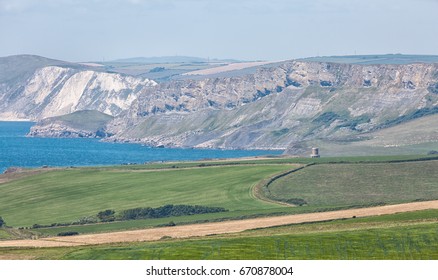 Steeply Dipping Beds Of Portland Limestone At Gad Cliff On Dorset's Jurassic Coast