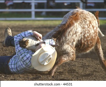 Steer Wrestling At Rodeo