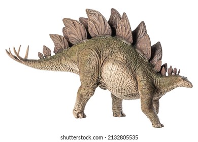 Stegosaurus Dinosaur On White Background Stock Photo 2132805535 ...